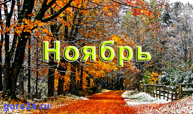 http://goro24.ru/wp-content/uploads/2015/08/goroskop-na-noyabr-2015-goda.jpg